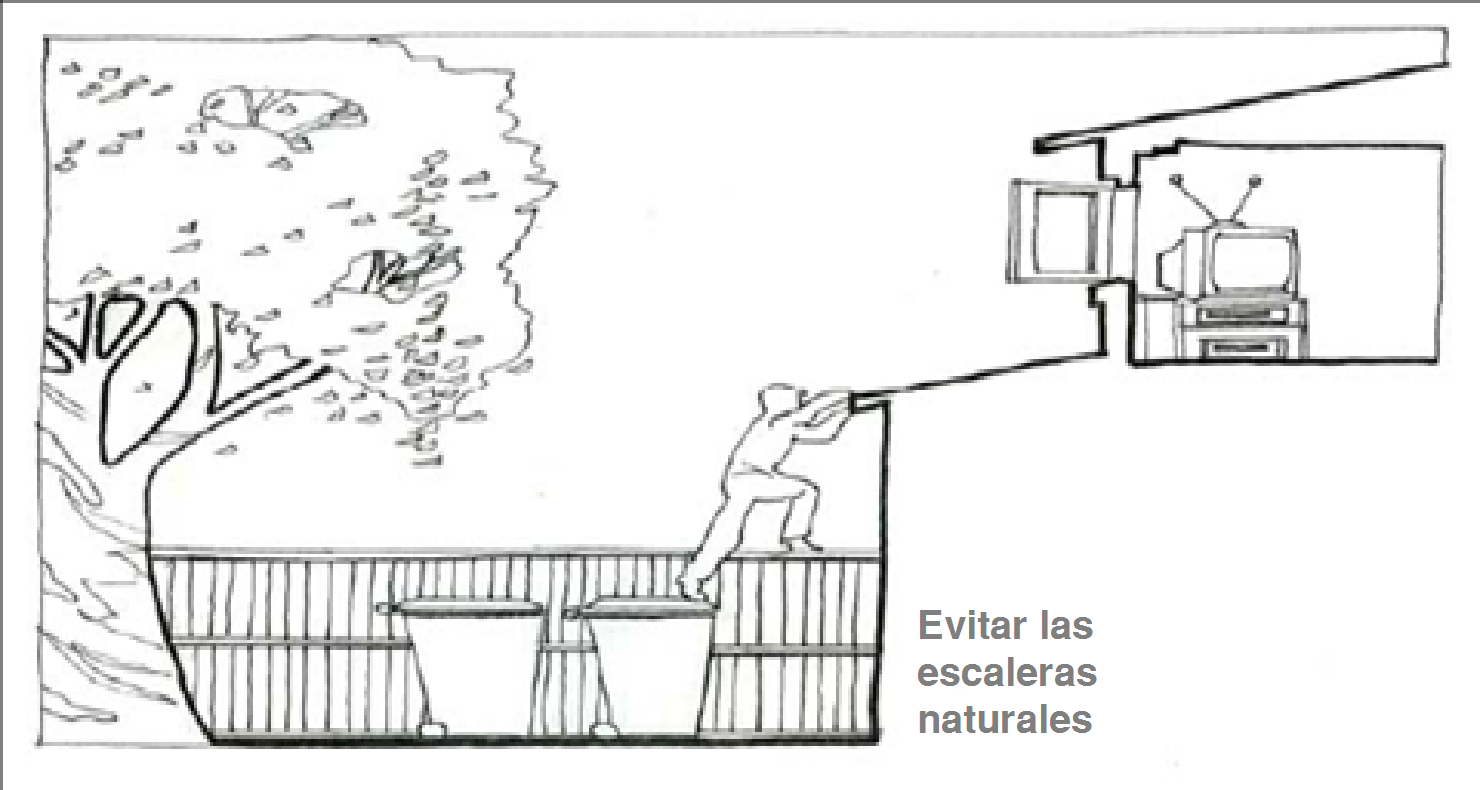 CPTED. Evita escaleras naturales a tu vivienda