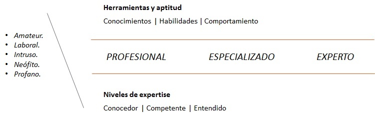 Diferencia entre profesionales, especializados y expertos