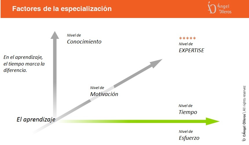 Especialización en seguridad privada