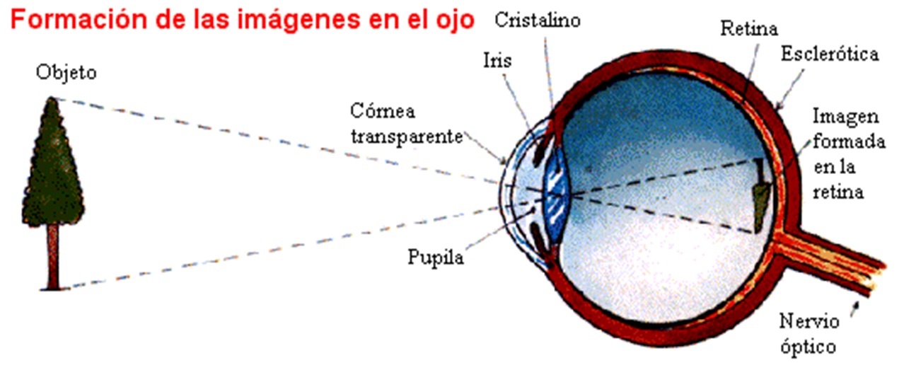 Imagen con cámaras