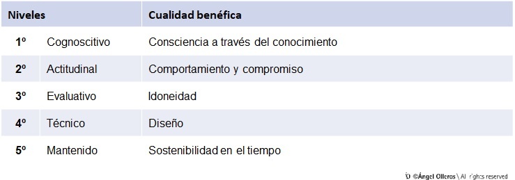 5 niveles de la pirámide evolutiva MOS