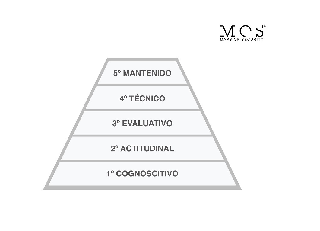 MOS_niveles evolutivos para tomar decisiones