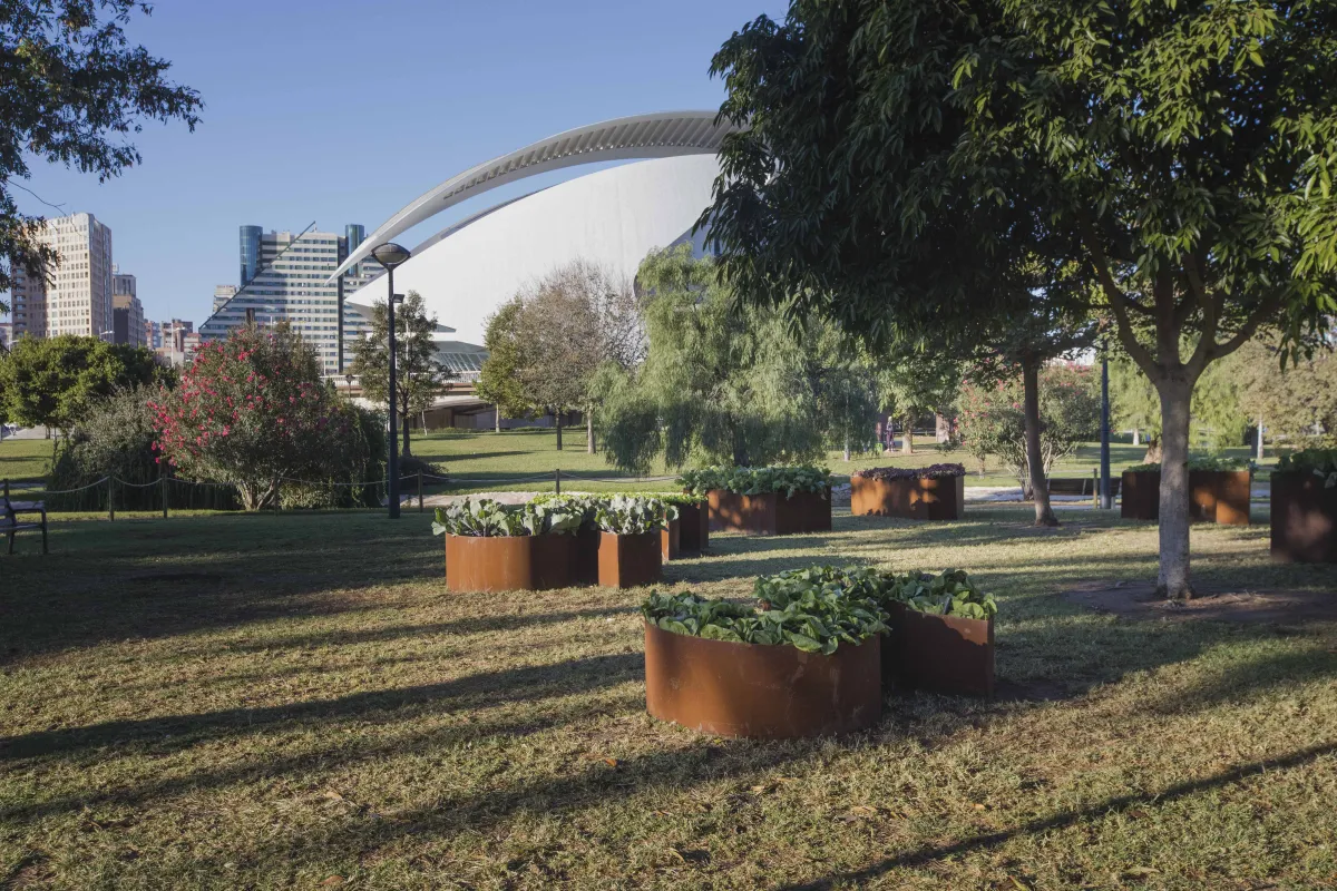 Esto nos salavará. Vista del jardín