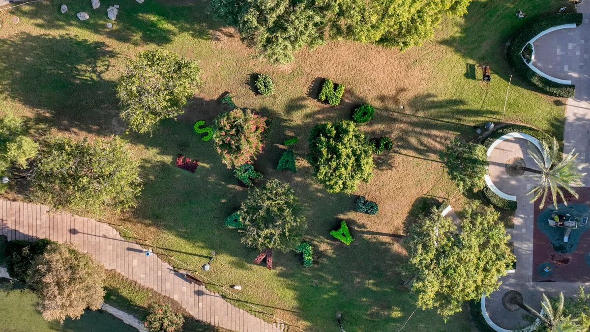 Esto nos salavará. Vista aérea con arbustos recortados en forma de diferentes letras.